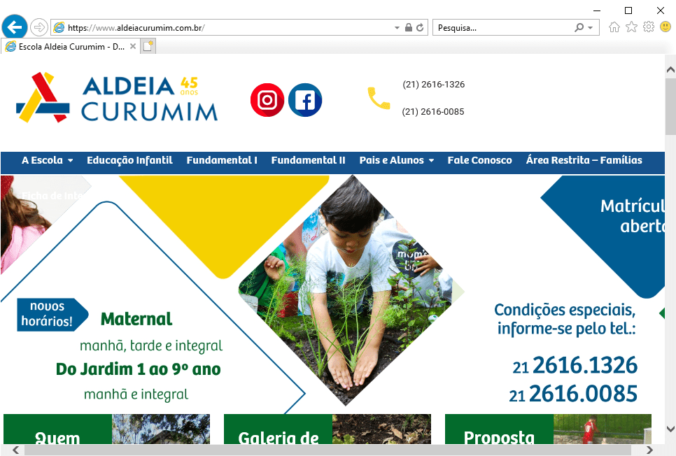 Site Aldeia Curumim
